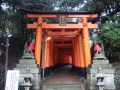 Kyoto : Inari